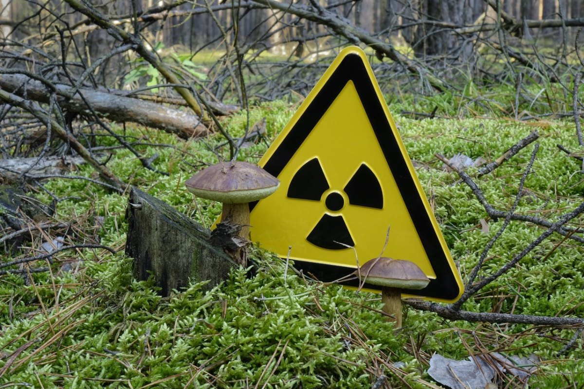 harz radon atom radioaktiv goslar clausthal braunlage