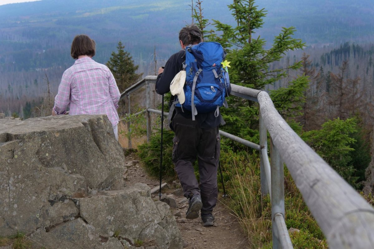 harz-wanderer.jpg