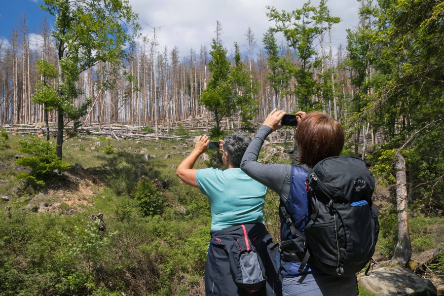 Du willst über die Ostertage im Harz wandern gehen? Dann solltest du eine Sache im Hinterkopf behalten! 