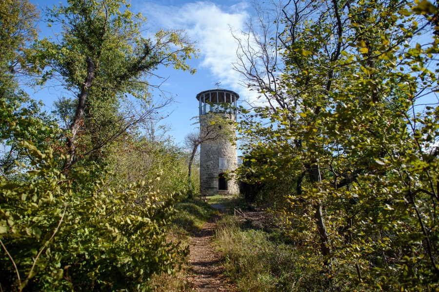Sachsen-Anhalt, Benzingerode: Der Austbergturm, an dem sich die Stempelstelle 83 der „Harzer Wandernadel“ befindet.