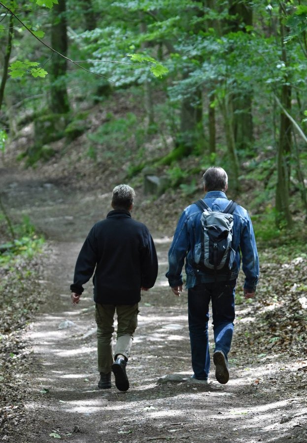 harz wandern.jpg