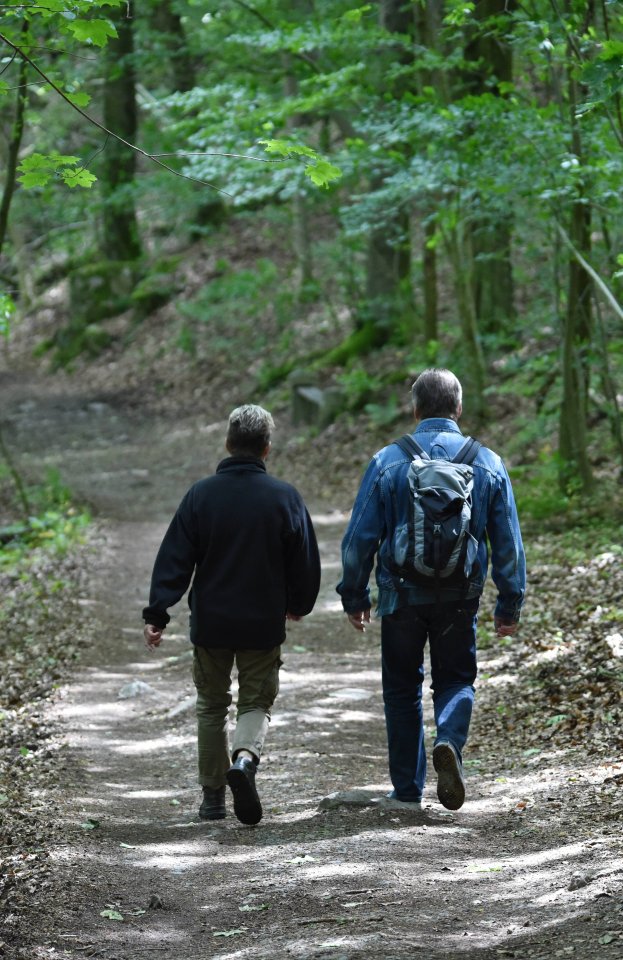 harz wandern.jpg