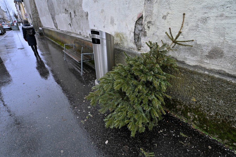 Nach Weihnachten haben die Christbäume ausgedient. In einer Stadt können sie aber noch Gutes bewirken – und davon profitiert sogar der Harz! (Symbolbild)