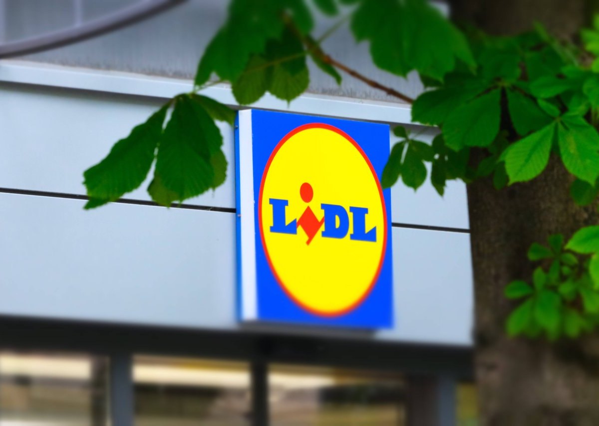 lidl kreis gifhorn.jpg