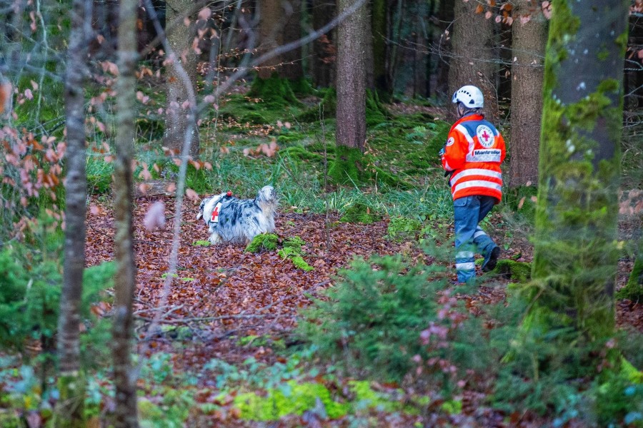 Auch Mantrailer durchkämmten mit ihrer Spürnase den Wald. (Symbolbild)  