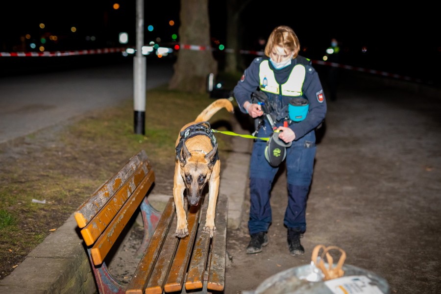 Eine Diensthundeführerin der Polizei führt einen Hund über eine Bank. Am Ufer des Maschsees ist es am Abend zu einem versuchten Tötungsdelikt gekommen.