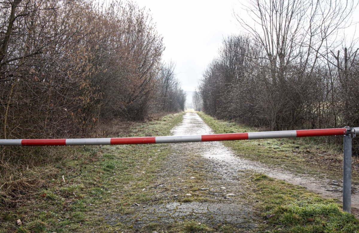 salzgitter fötus polizei