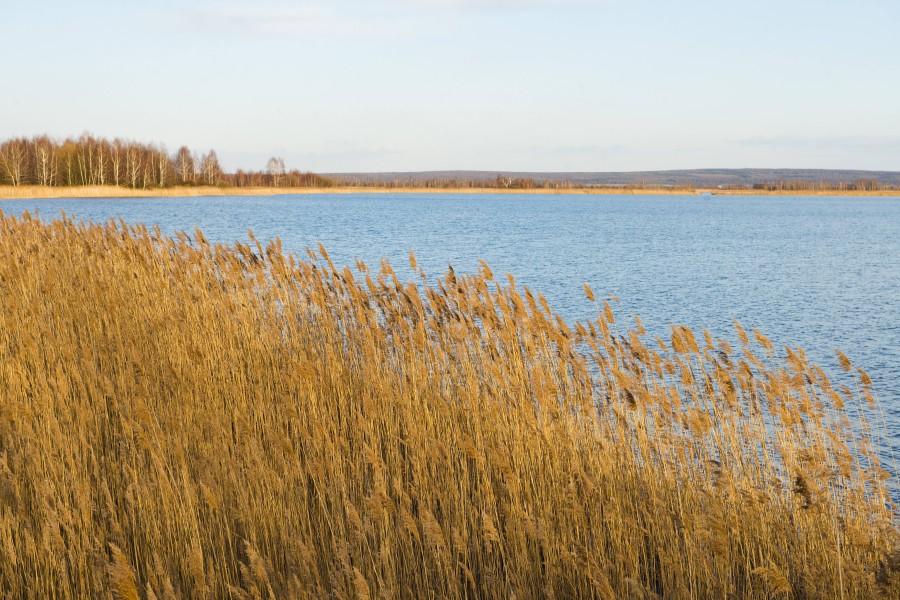 Eine Joggerin wurde am Heerter See in Salzgitter vermisst. (Symbolbild)