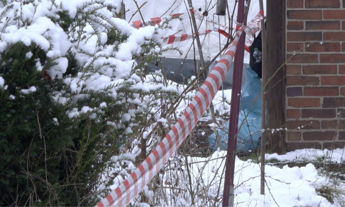 seesen harz leiche kleingarten