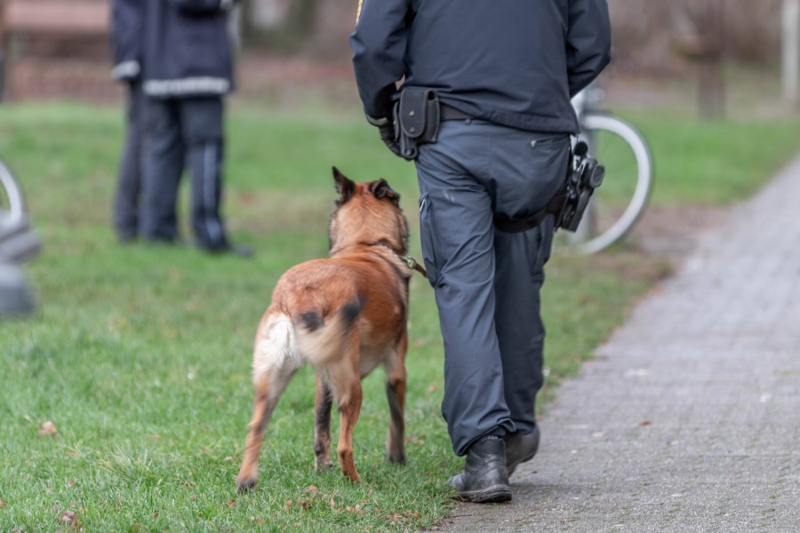 Die Polizei rückte mit einem Drogenspürhund zur Wohnungsdurchsuchung im Harz an. (Symbolbild)