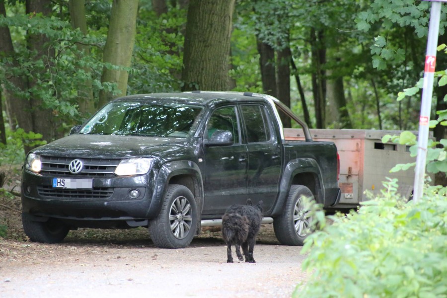 Der VW Amarok bekommt ein neues Erscheinungsbild, hier ein Bild aus 2018. (Archiv)