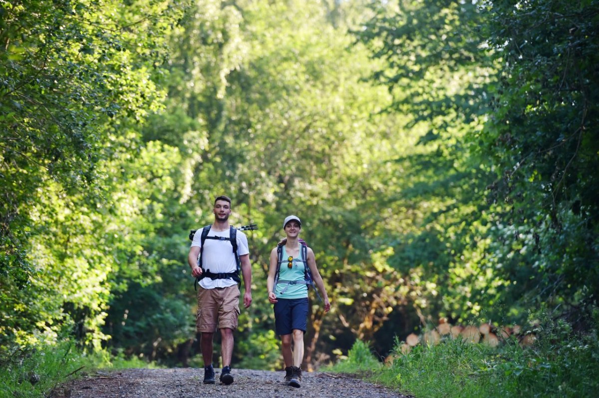 wandern harz wanderer jung