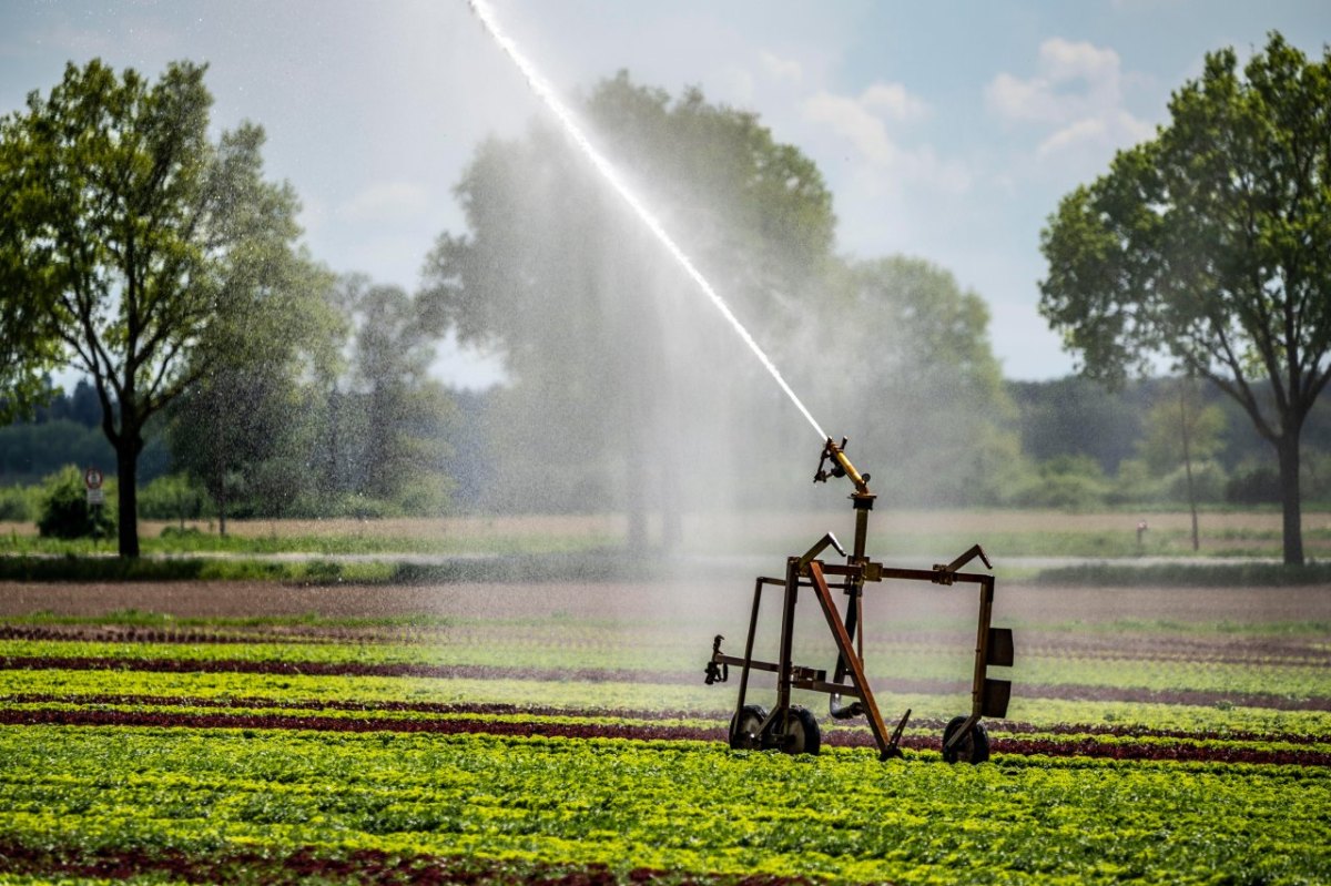 wasser knapp niedersachsen feld beregnet