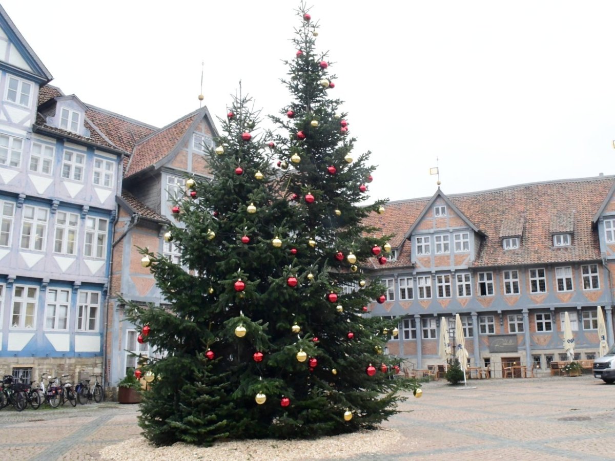 weihnachtsbaum friedenstanne wolfenbüttel marktplatz