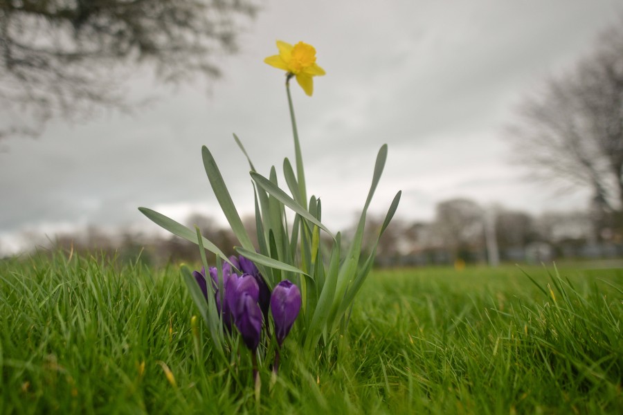 Wetter in Niedersachsen: Der Frühling ist auf dem Vormarsch. Da stört uns auch die ein oder andere Wolke nicht. (Symbolbild)