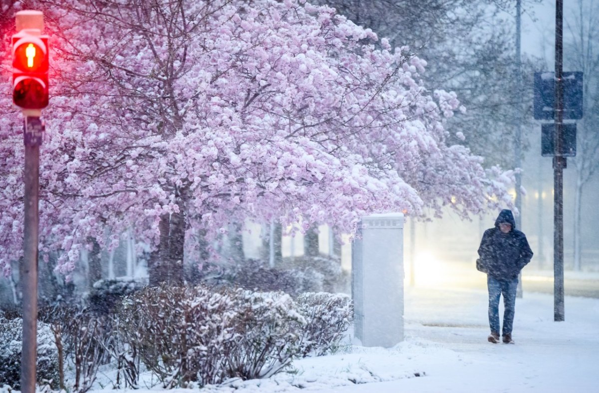 wetter niedersachsen april schnee kirschbblüte