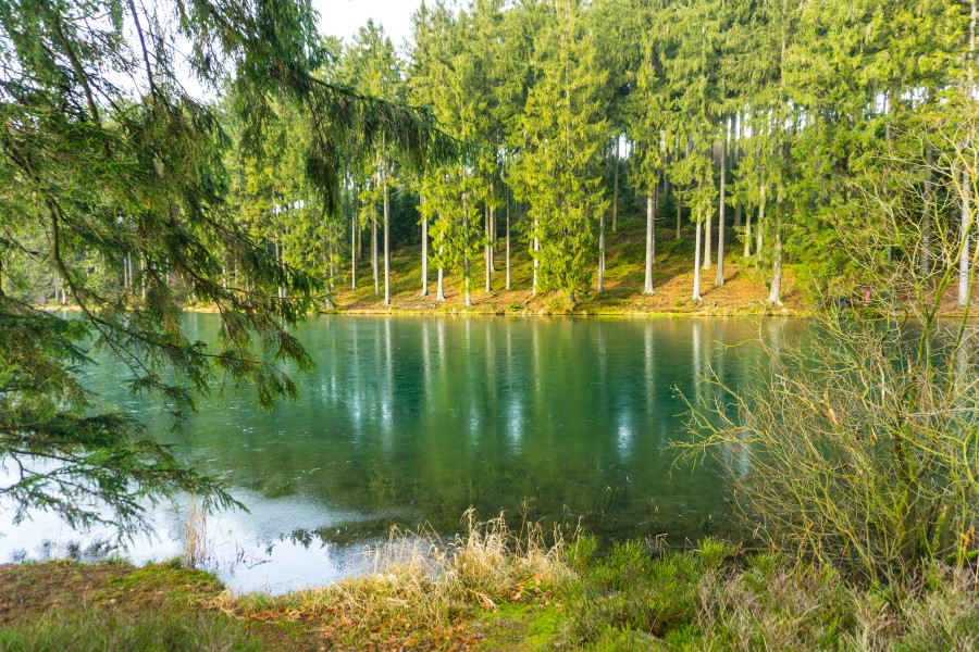 Der Grumbacher Teich im Harz. (Archivbild)