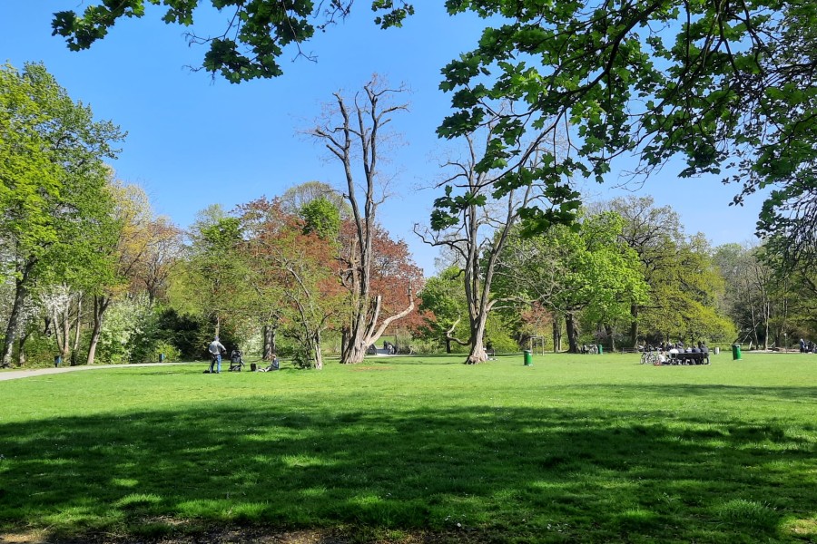 Eigentlich ein super schöner Ort: Der Inselwallpark in Braunschweig. 