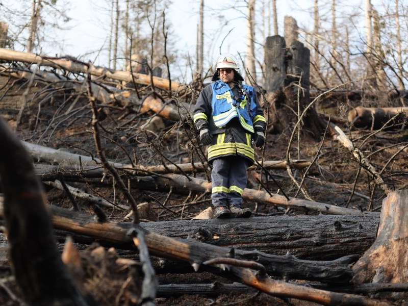 Nach dem Großbrand im Harz startet das Rätselraten um die möglichen Ursachen., ertreter von Feuerwehr, des Nationalpark Harz, Waldbesitzer sowie des Landkreises und der betroffenen Ministerien nahmen am Runden Tisch teil.
