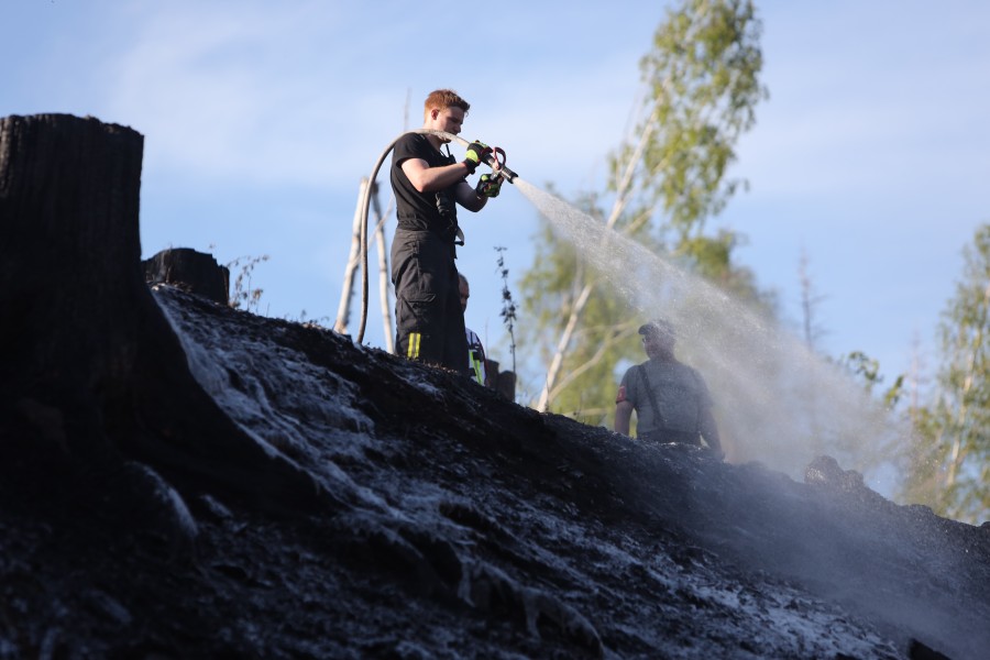 Bei dem Waldbrand bei Stiege im Harz sind drei Menschen teils schwer verletzt worden, darunter auch zwei Feuerwehrleute. 