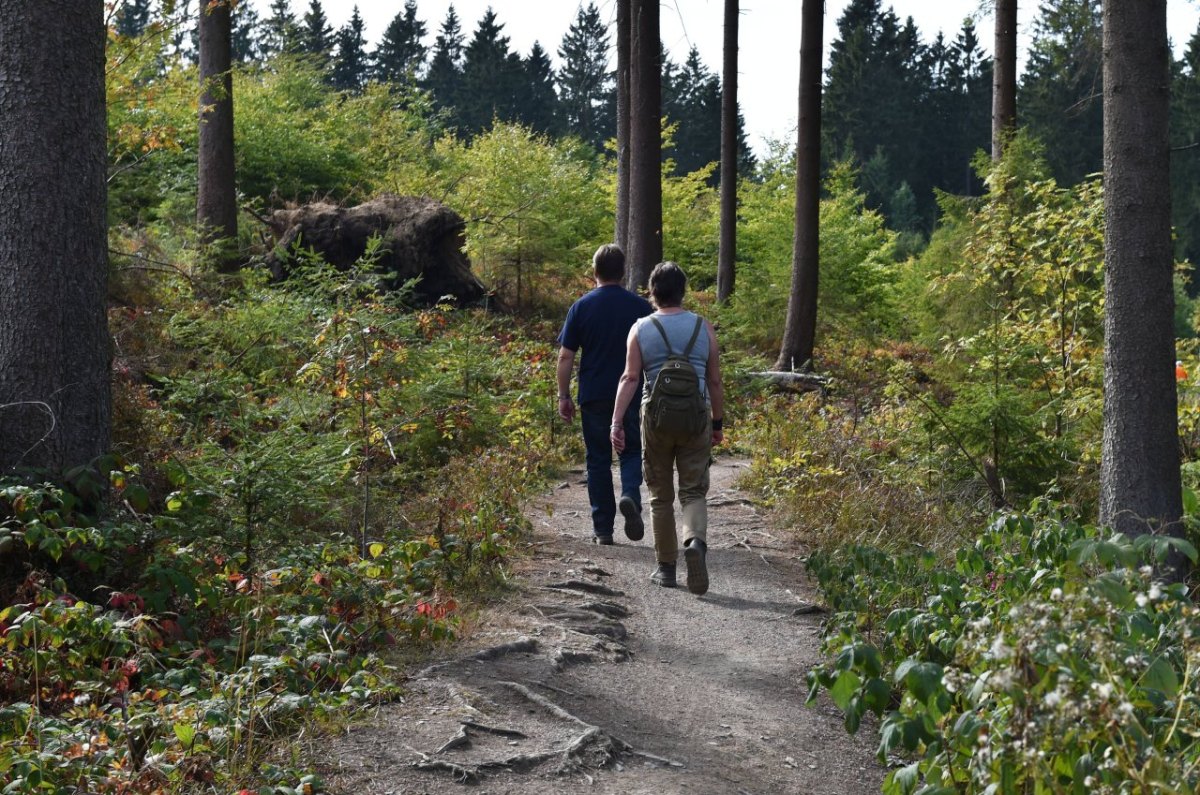 harz-wandern.jpg