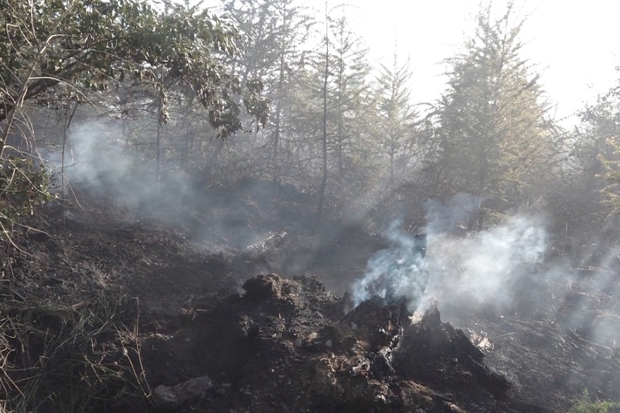 Es hat auf einer Fläche von etwa sieben Fußballfeldern im Harz gebrannt. 