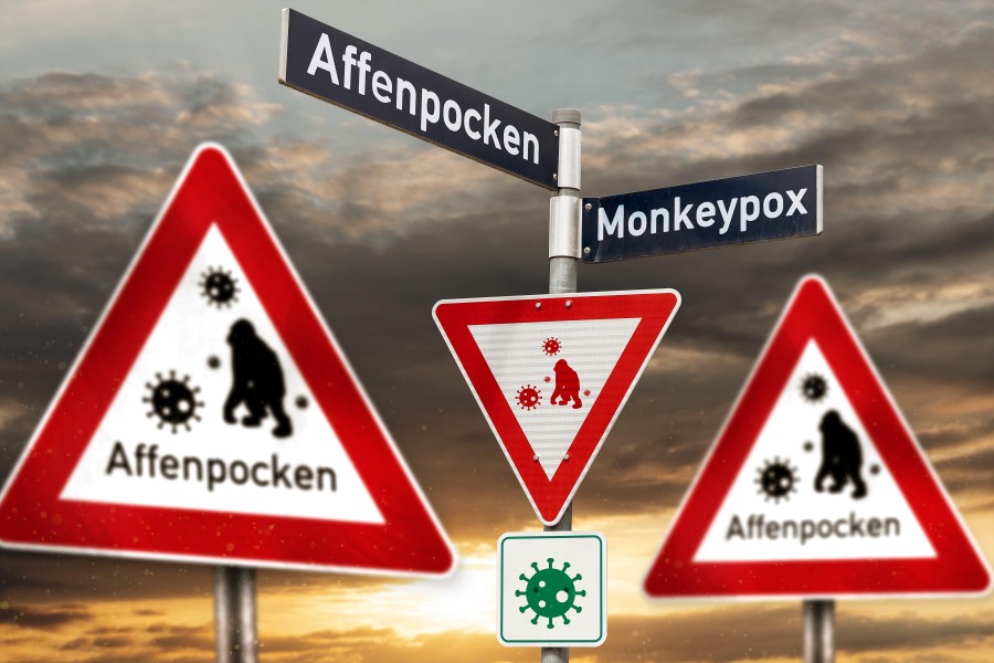 Erster nachgewiesener Fall von Affenpocken jetzt auch in Niedersachsen! (Symbolbild)