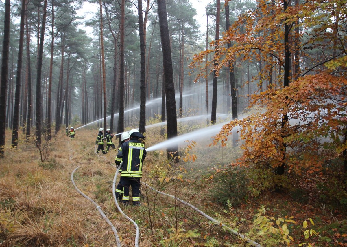 Niedersachsen Waldbrand