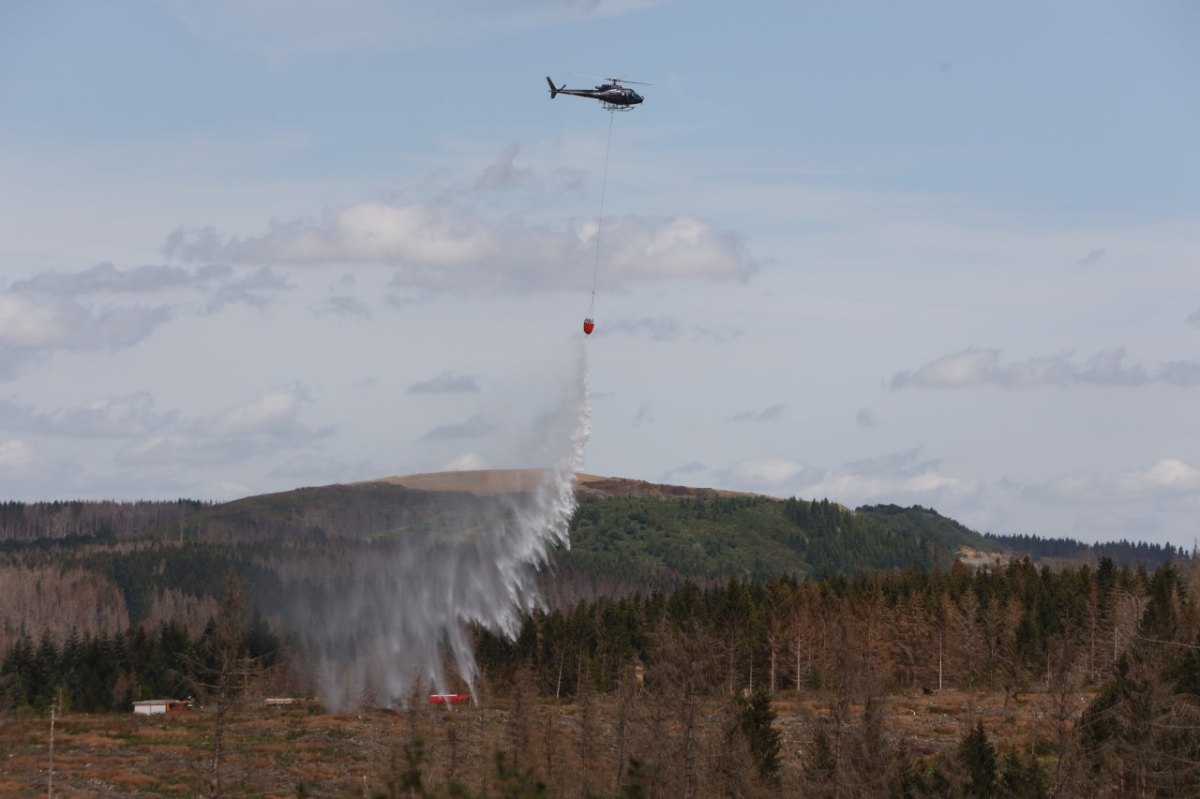 Harz Waldbrand