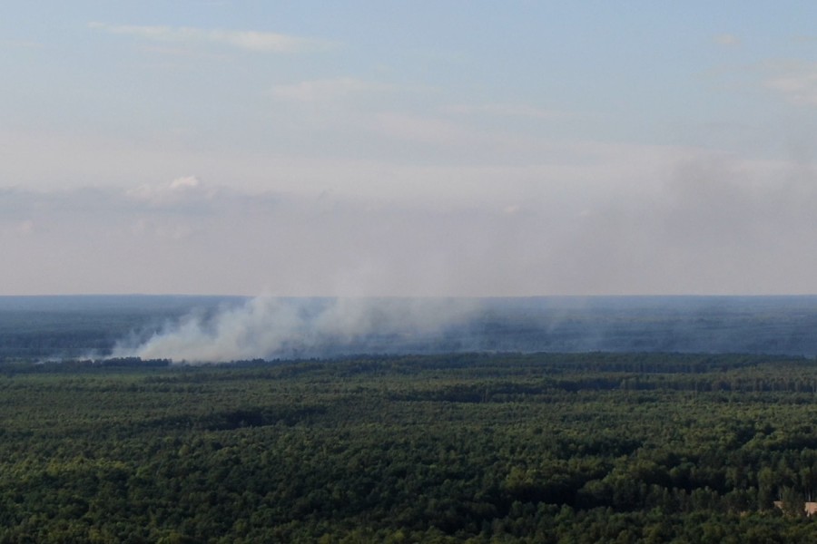 Auf mehreren Hektar brannte das Moor im Kreis Gifhorn.