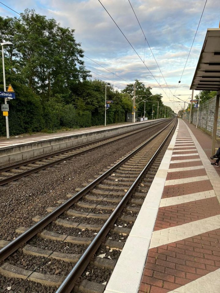 kreis gifhorn bahnhof calberlah.jpg