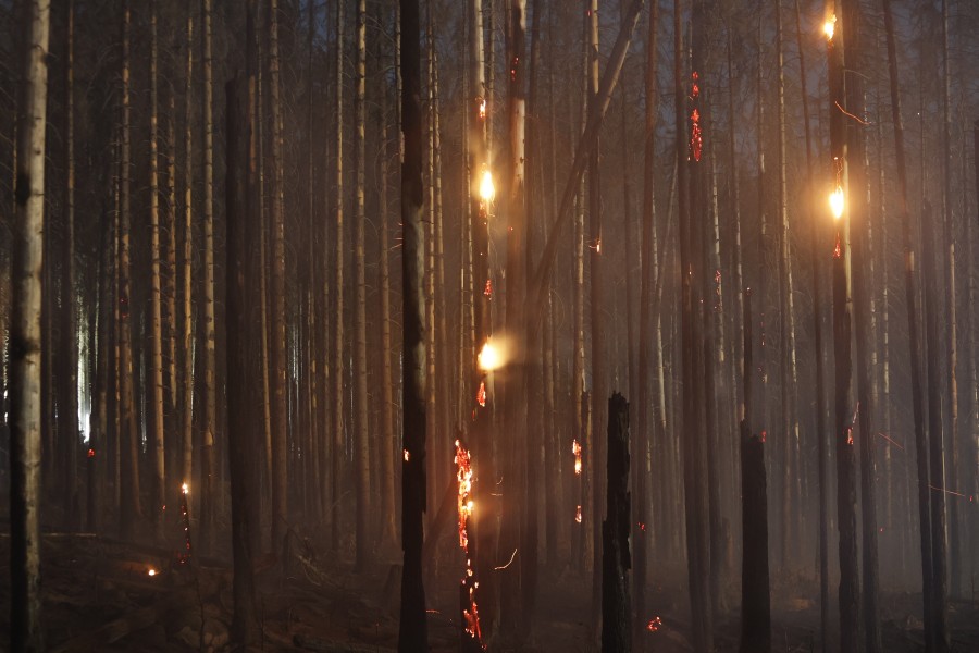 Auch am Freitagmorgen brennt es weiter im Harz nahe Schierke. 
