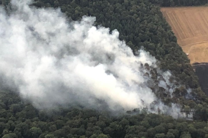 Heftige Rauchwolke über Königslutter! Ein Wald bei Lauingen stand in Flammen. 