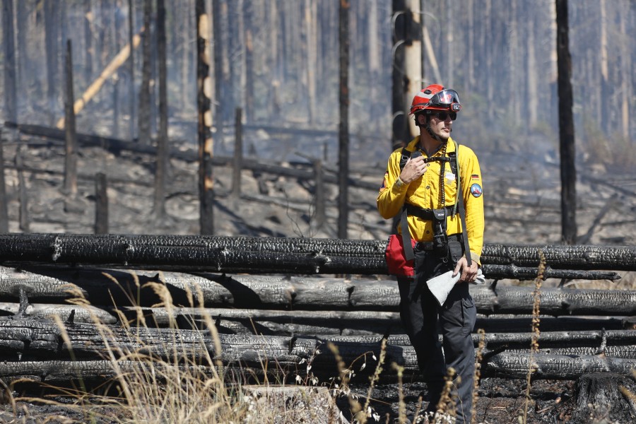 Der Waldbrand im Harz bringt die Einsatzkräfte an ihr Limit.