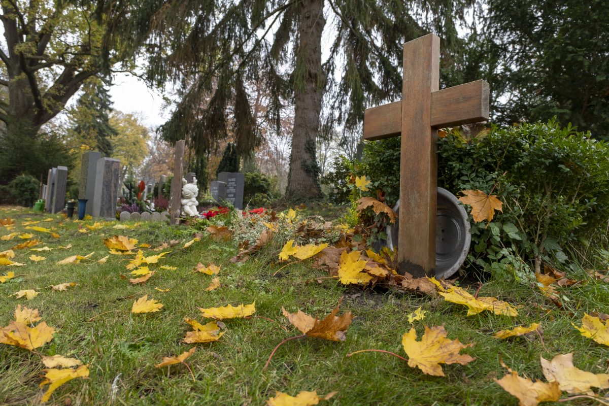 Gräber auf Friedhof Gräber auf dem Hauptfriedhof Braunschweig