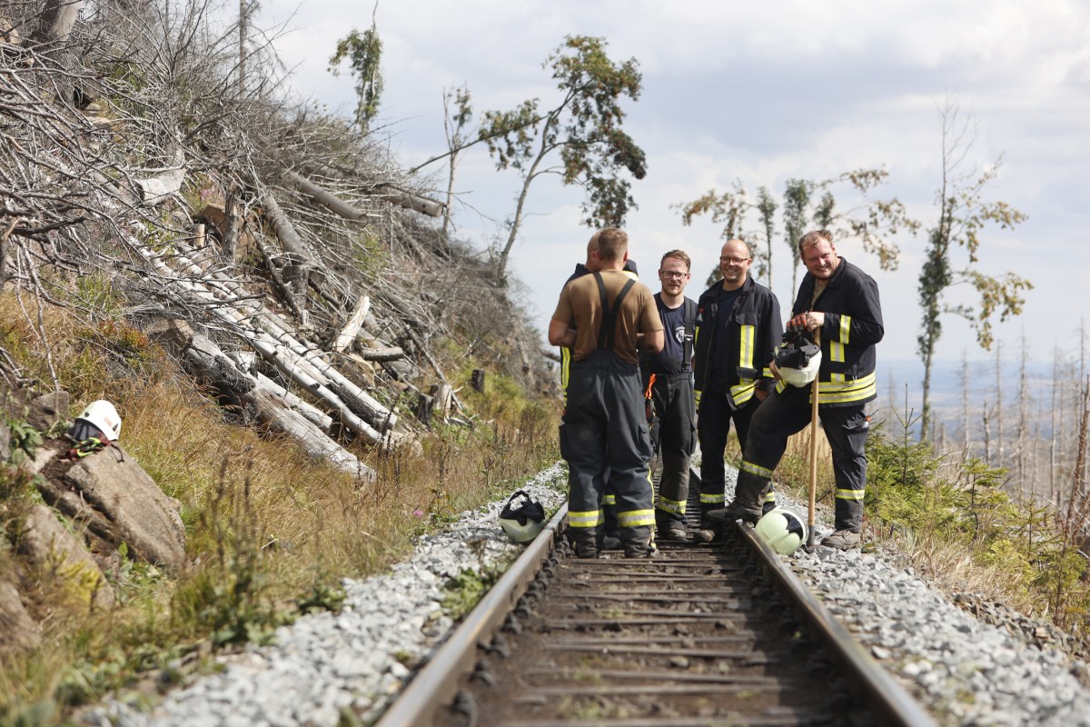 harz brocken brand