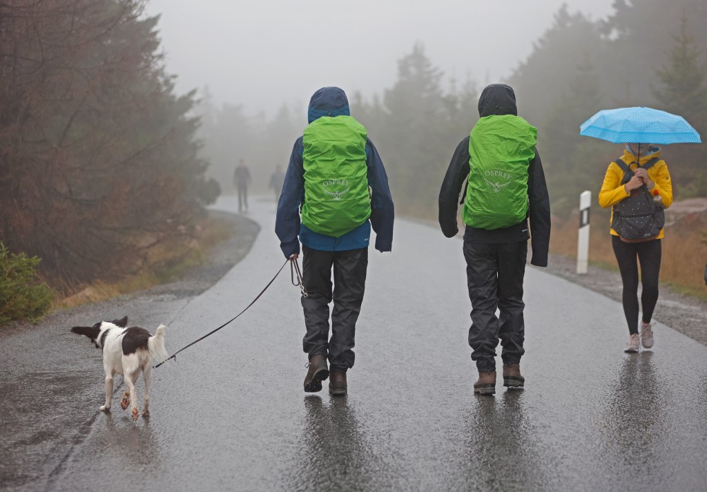 brocken harz