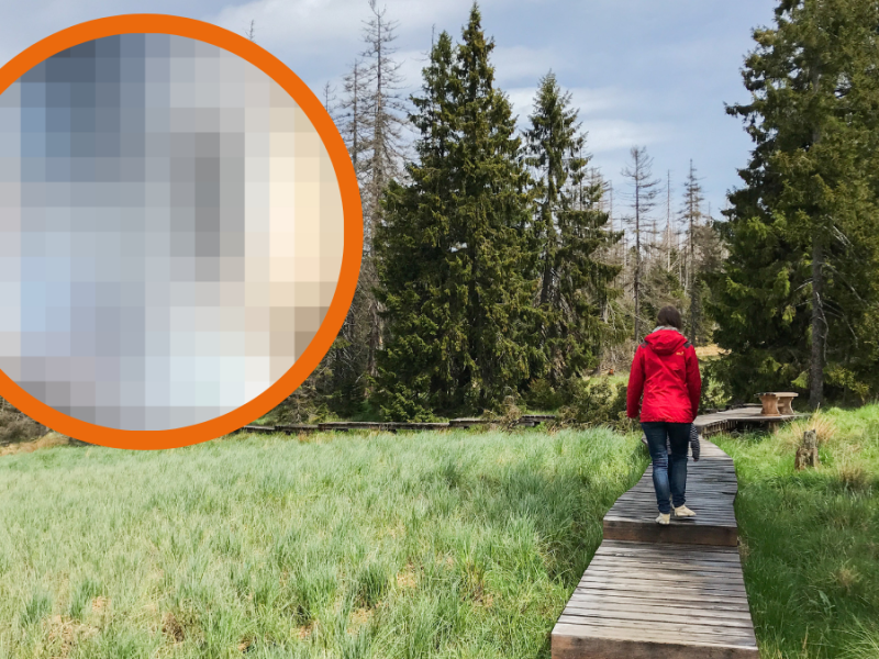 Frau wandert im Harz und ein Pixel-Bild