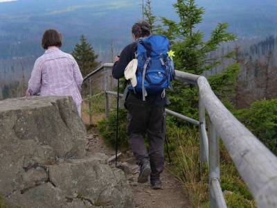 Harz