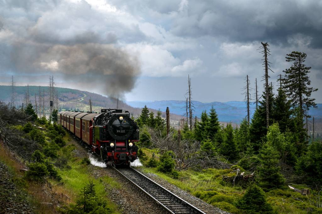 Harz