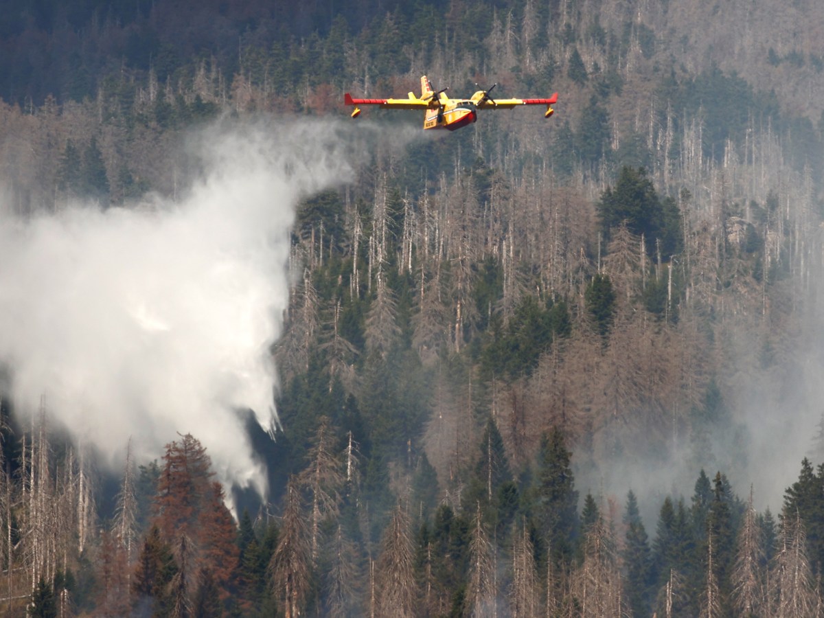 Harz Brocken Feuer