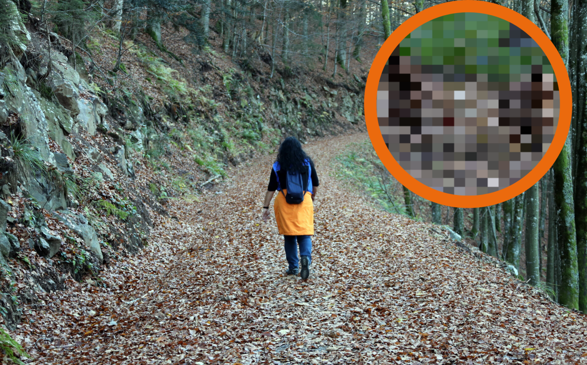 Wolfenbüttel Frau spaziert durch Wald