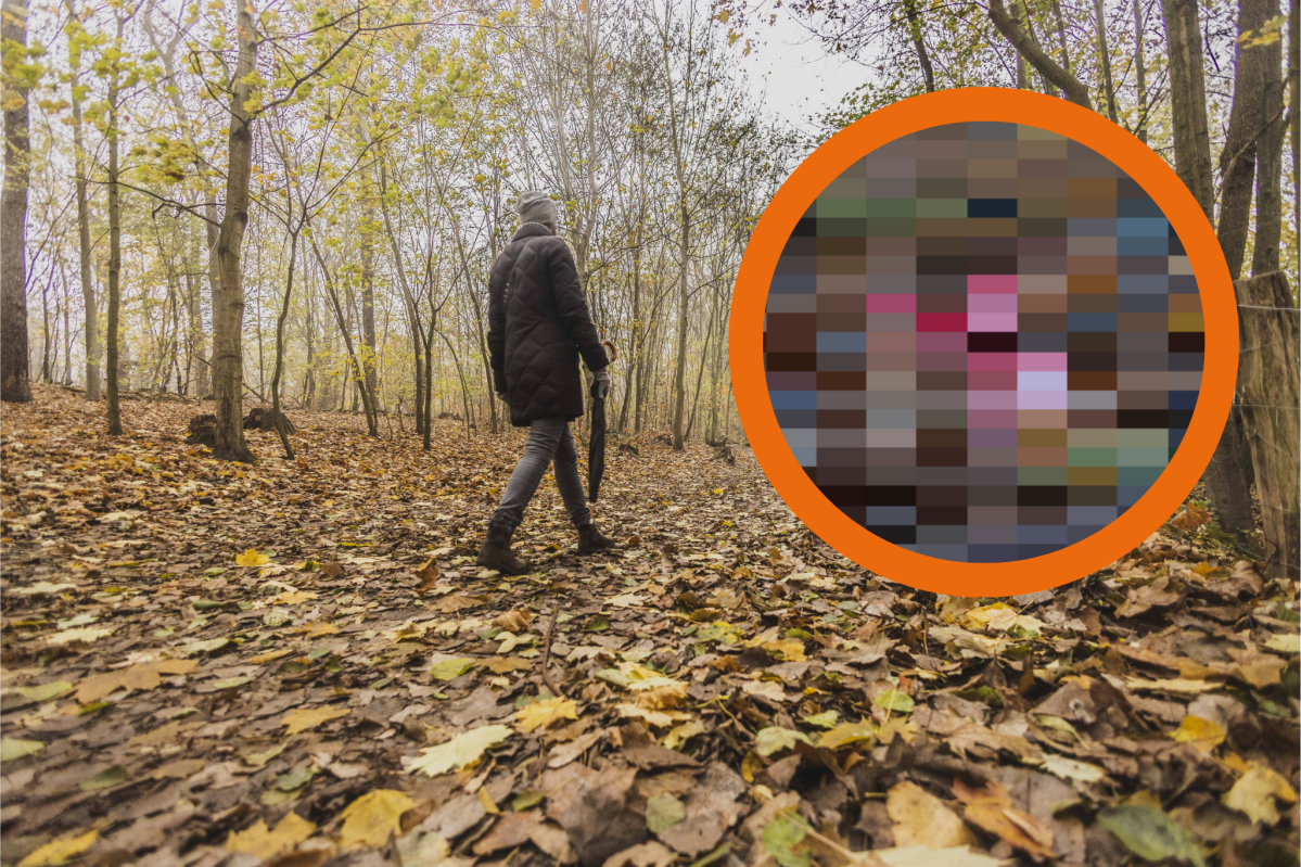 Eine Frau hat im Wolfsburger Stadtwald eine einzigartige Entdeckung gemacht! (Symbolbild)