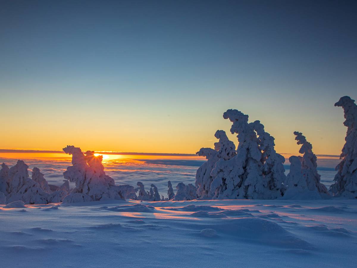 Harz