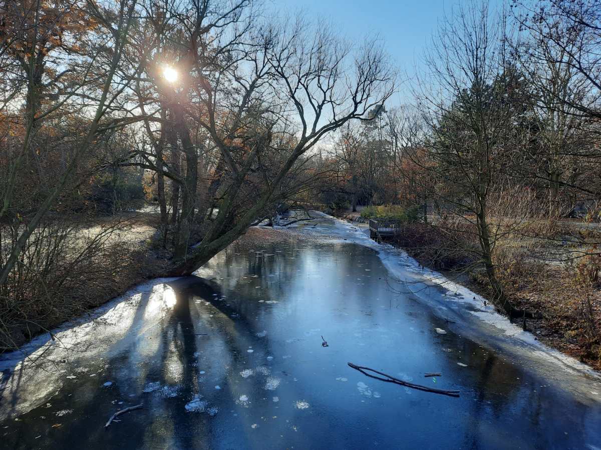 Auch die Oker in Braunschweig ist zugefroren. Allerdings täuscht der Anblick!