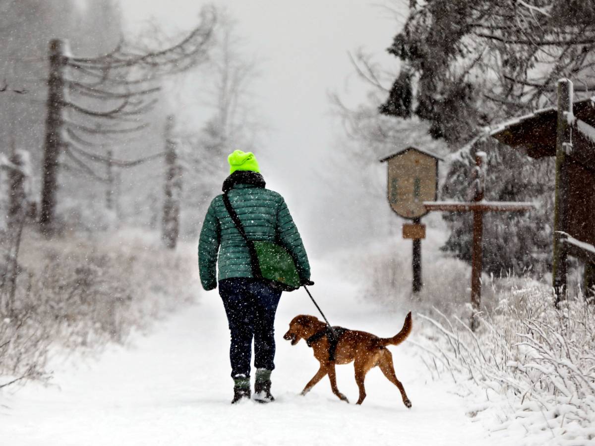 Du planst einen winterlichen Ausflug in den Harz? Dann solltest du einiges beachten. (Symbolbild)