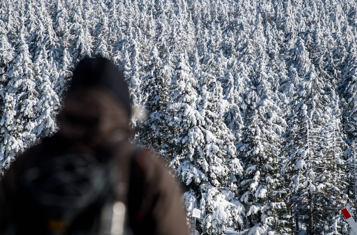 Du willst Silvester noch spontan im Harz feiern? Dann musst du schnell sein. (Symbolbild)