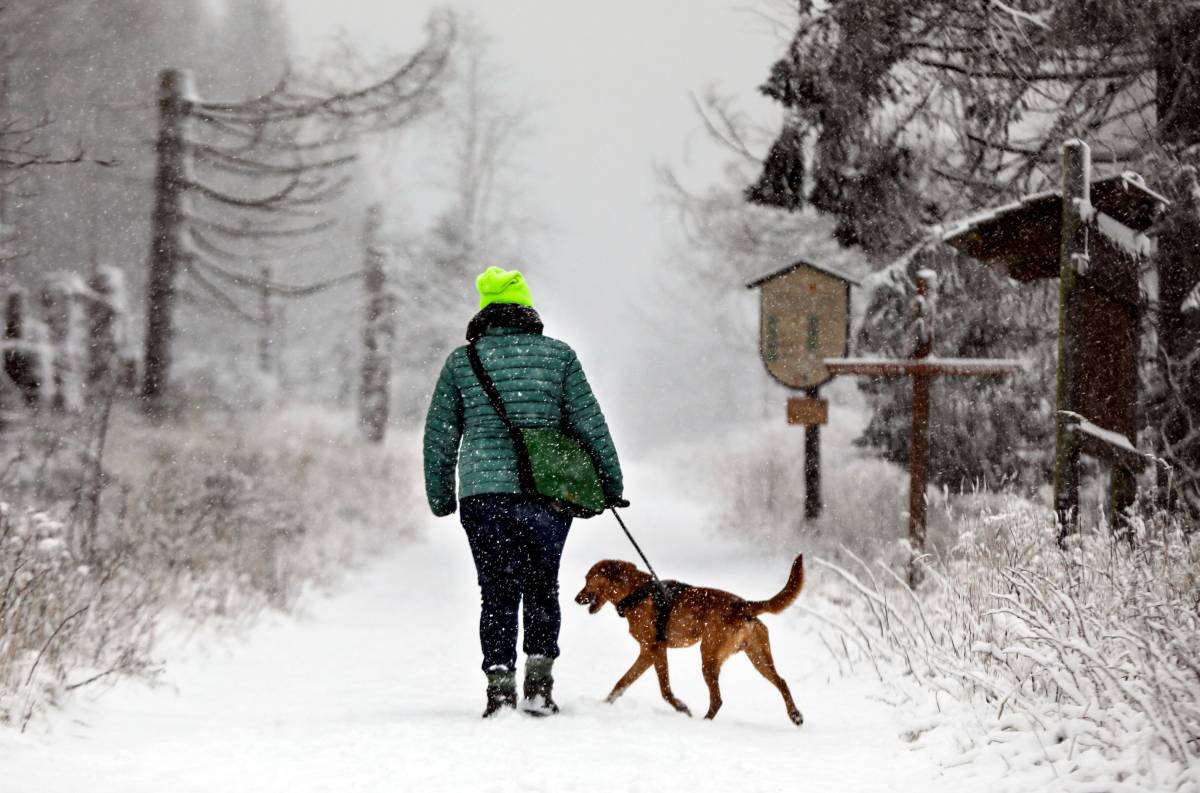 Vor allem im Harz ist einiges an Schnee vom Himmel gefallen! (Symbolbild)
