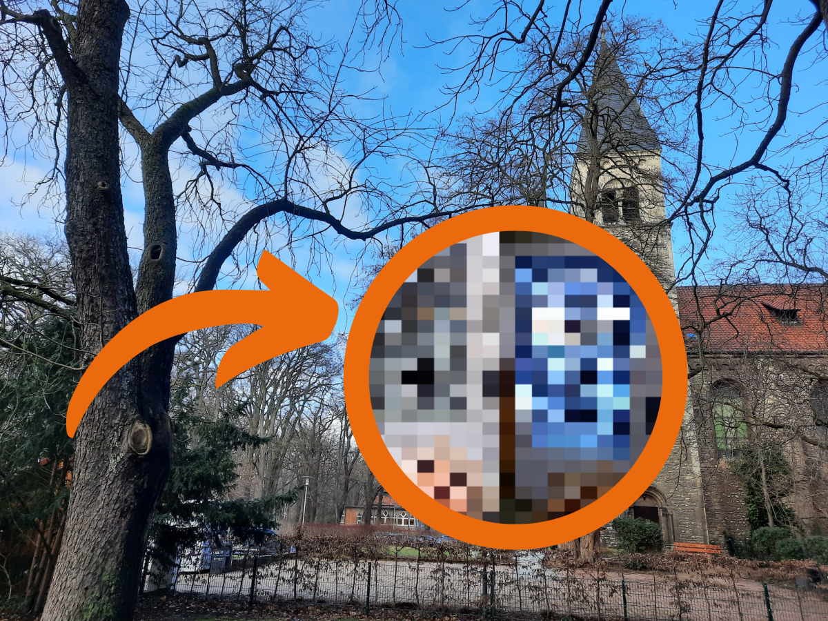 Am Prinzenpark in Braunschweig gibt es ein besonderes Angebot. Doch das ist jetzt Vandalismus zum Opfer gefallen!