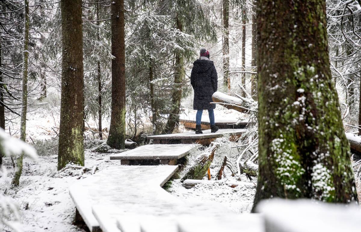 Eine "Schneewalze" rollt auf Deutschland zu - was bedeutet das für das Wetter in Niedersachsen?